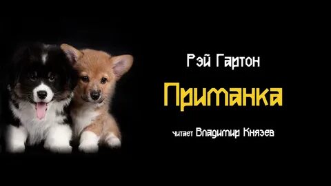 Слушать аудиокнигу приманка