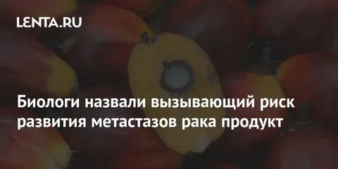Зовешь вызовешь
