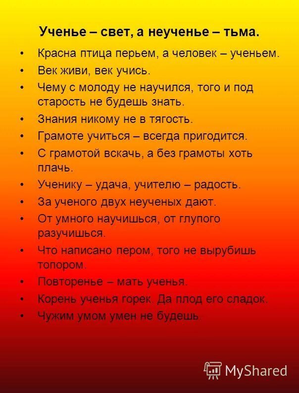 Зимой шубка не шутка