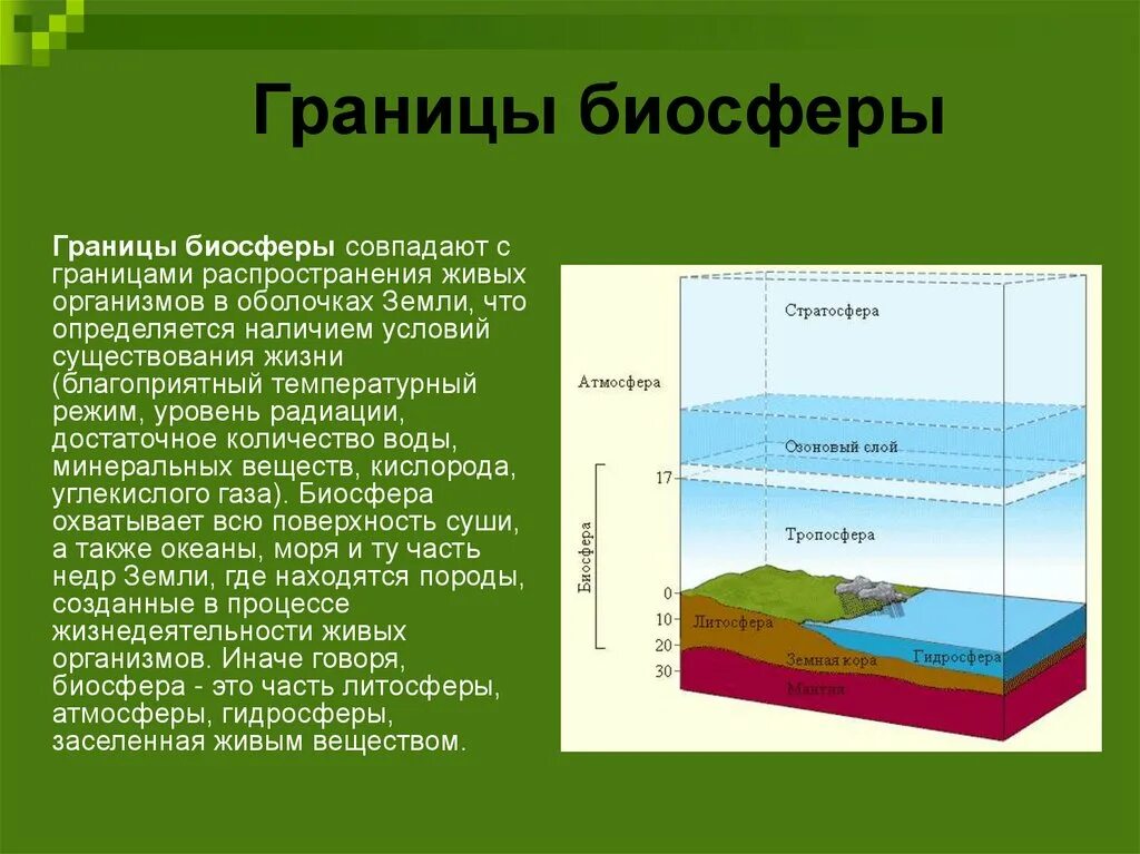 Чем определяется границы распространения живых организмов биосфере