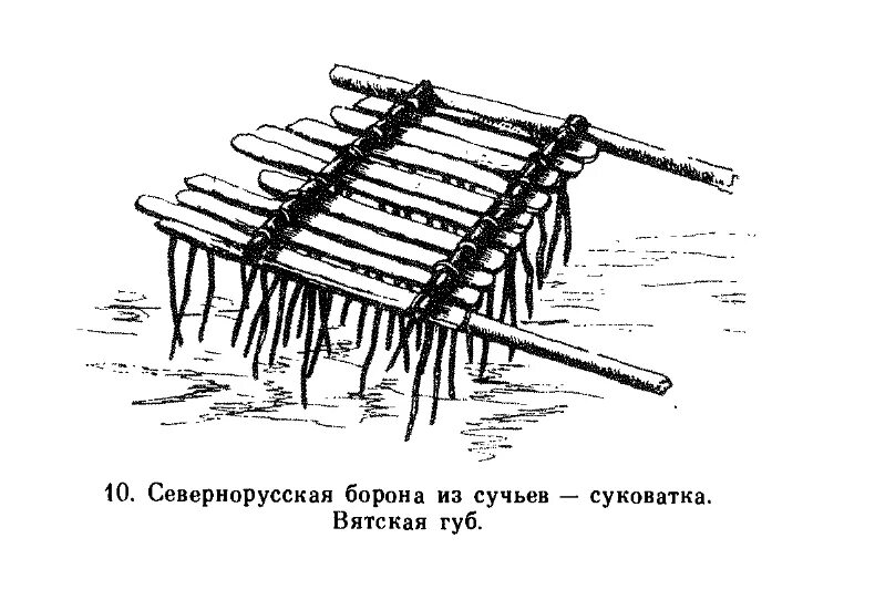 Иглой да бороной деревня. Восточные славяне борона суковатка. Борона-суковатка древняя. Борона-суковатка это в древней Руси. Борона суковатка у славян.