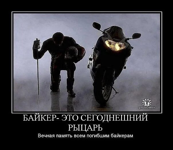 Выражения мотоциклистов. Цитаты мотоциклистов. афоризмы про байкеров. статусы мотоциклистов. мотоциклист с крыльями.