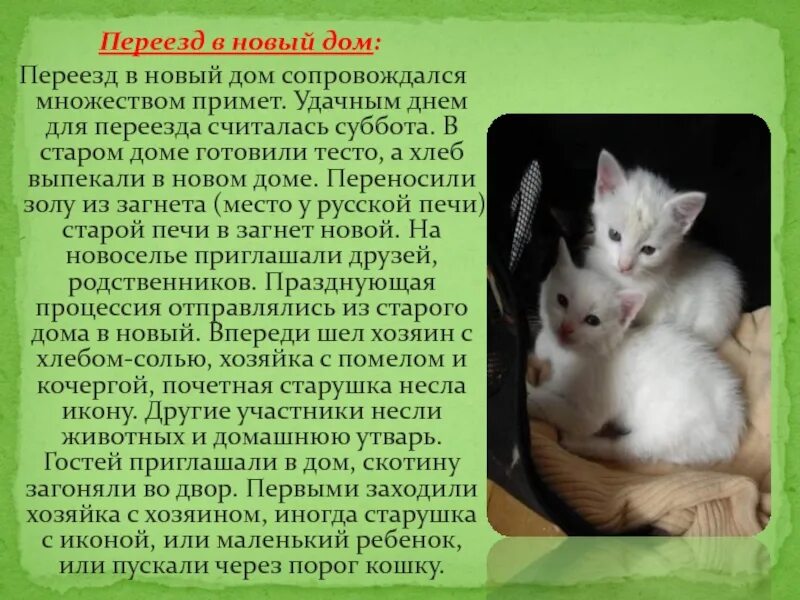 Переехать дом приметы. Приметы на новоселье в новую квартиру. приметы в новом жилье. приметы как зайти в новую квартиру. приметы переезд.