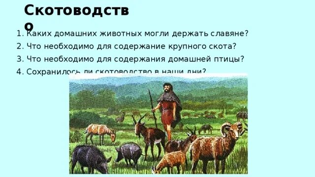 Чем скотоводство отличается от охоты. Скотоводство славян. скотоводство восточных славян.