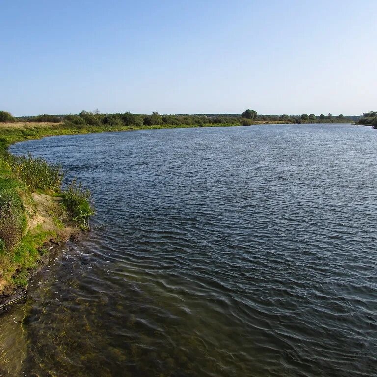 Жидкость смазочно-охлаждающая сож. Водные сожи. Водные сожи. Водные сожи. Водосмешиваемые смазочно-охлаждающие жидкости.