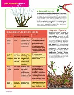 Что происходит после цветения