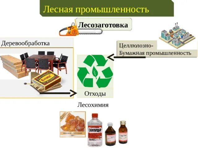 Лесохимическая промышленность. Продукция лесохимической промышленности. Переработка древесины лесохимия целлюлозно- бумажная. Отходы целлюлозно-бумажной промышленности. Целлюлозно бумажная факторы размещения