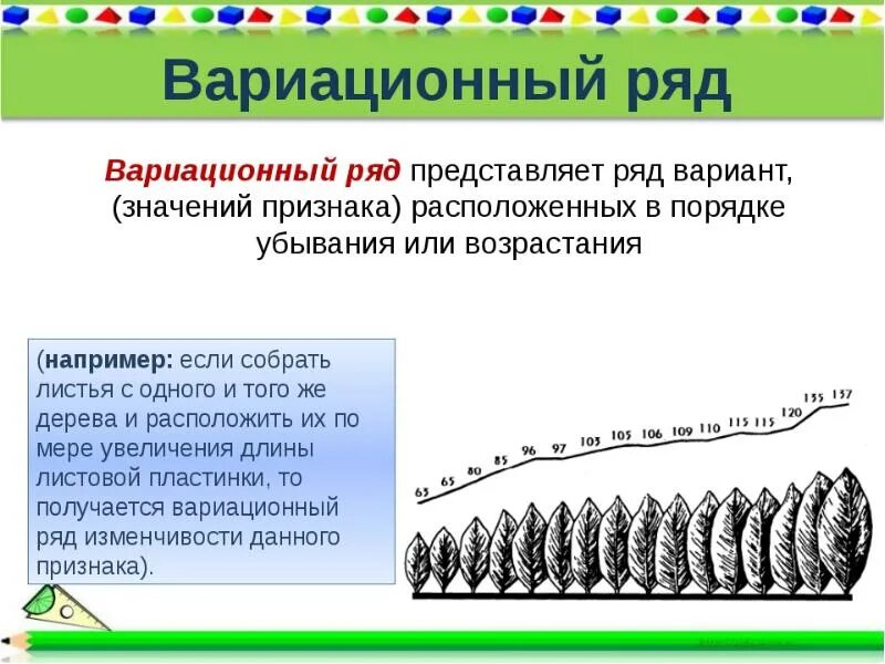 Лабораторная изучение изменчивости