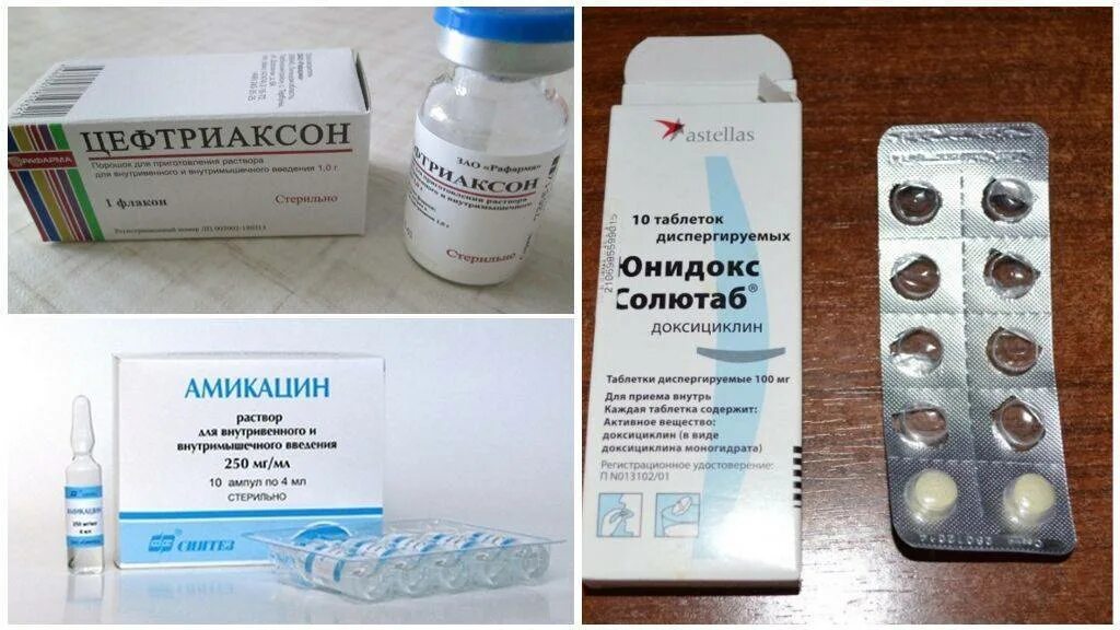 Укусил клещ антибиотик ребенку. Антибиотики при клещевом. Антибиотики при укусе клещей. Таблетки от укуса клещей. Укусил клещ антибиотик ребенку.