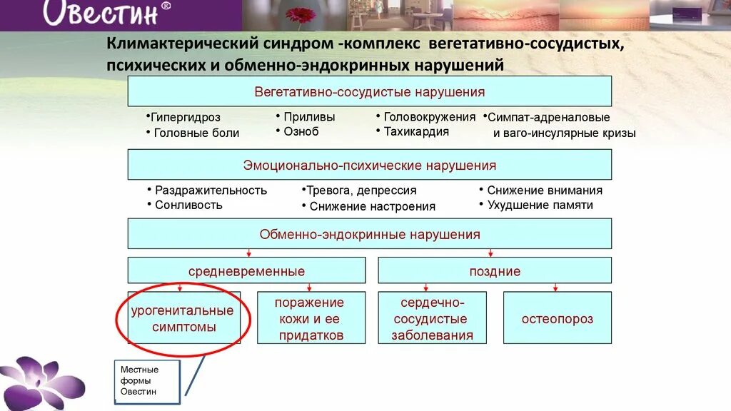 Климактерический синдром периоды. Климактерический синдром патогенез. Климактерический синдром этиология. Патогенез климакса. Синдром менопаузы