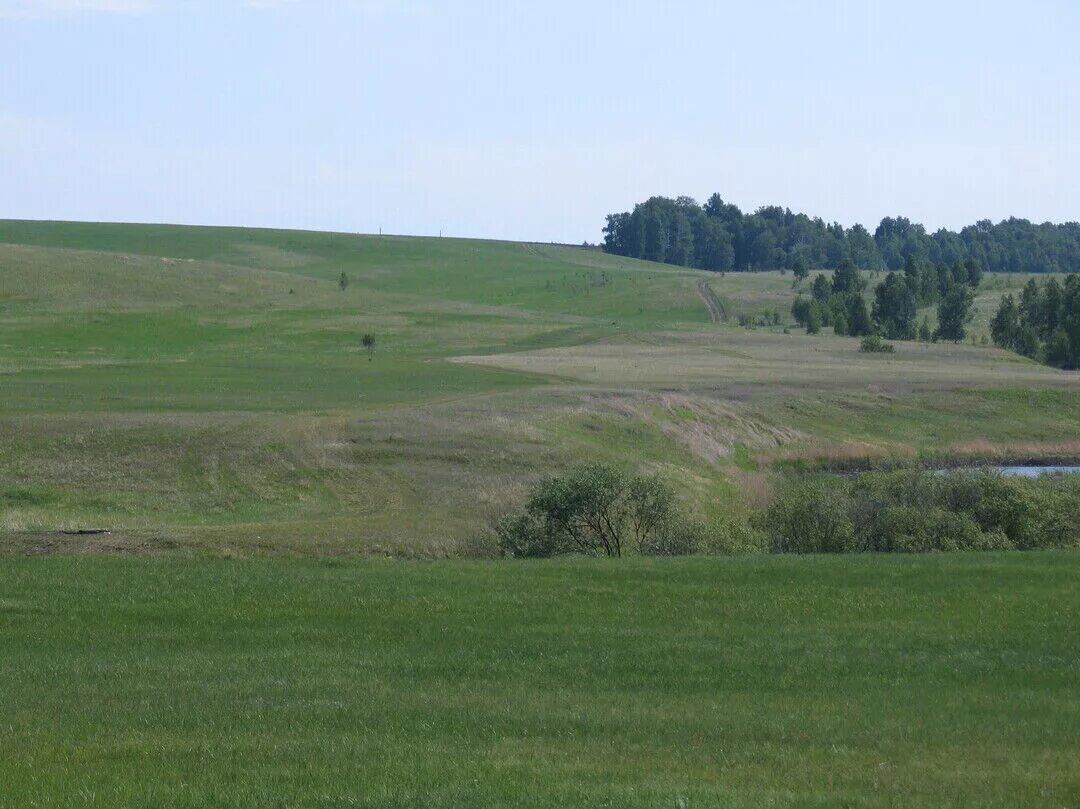 Село сухоборское. Погода сухоборское. Погода сухоборское. Чумляк курганская область. Село сухоборское.