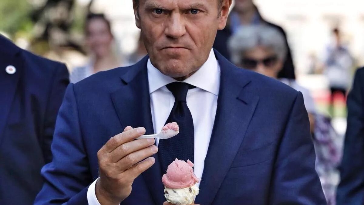 How to get tusk. Donald tusk. donald tusk debil. donald tusk gold.