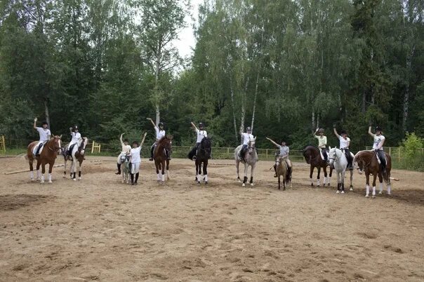 Конный клуб вороново. Кск аллегро тишково. конный клуб аллегро тюмень. конюшни в тюмени аллегро. конный клуб темная лошадка.