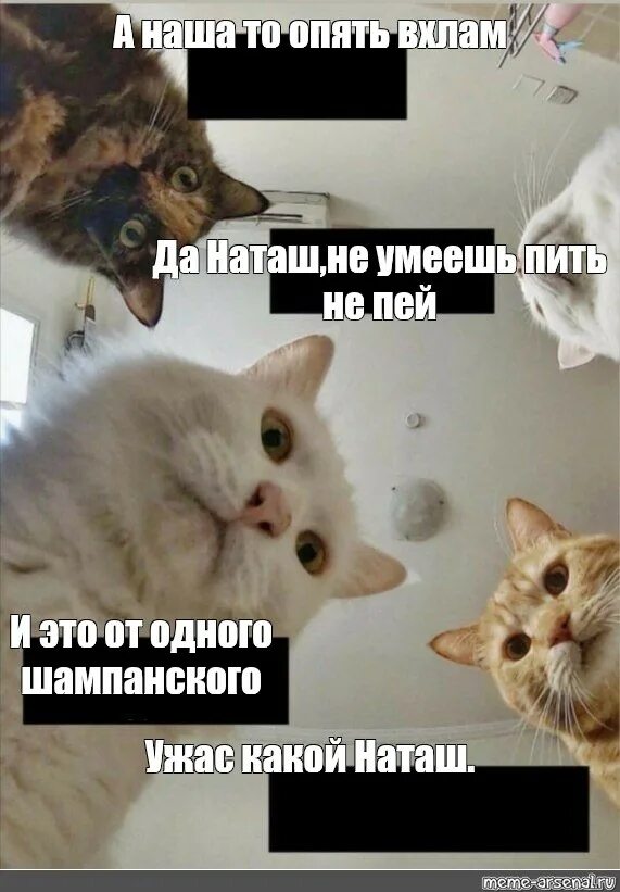 Песня умеешь пить
