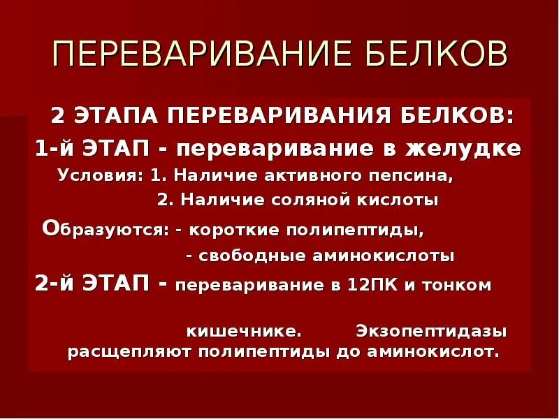 Этапы переваривания белков. Этапы пищеварения белков. Переваривание белков в желудке. Переваривание в желудке биохимия.