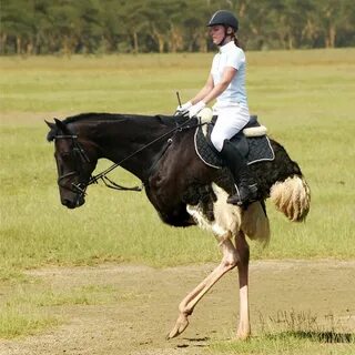 Верхом странное