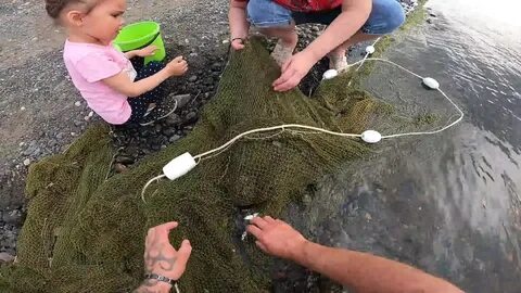 Рыбу ловят неводом