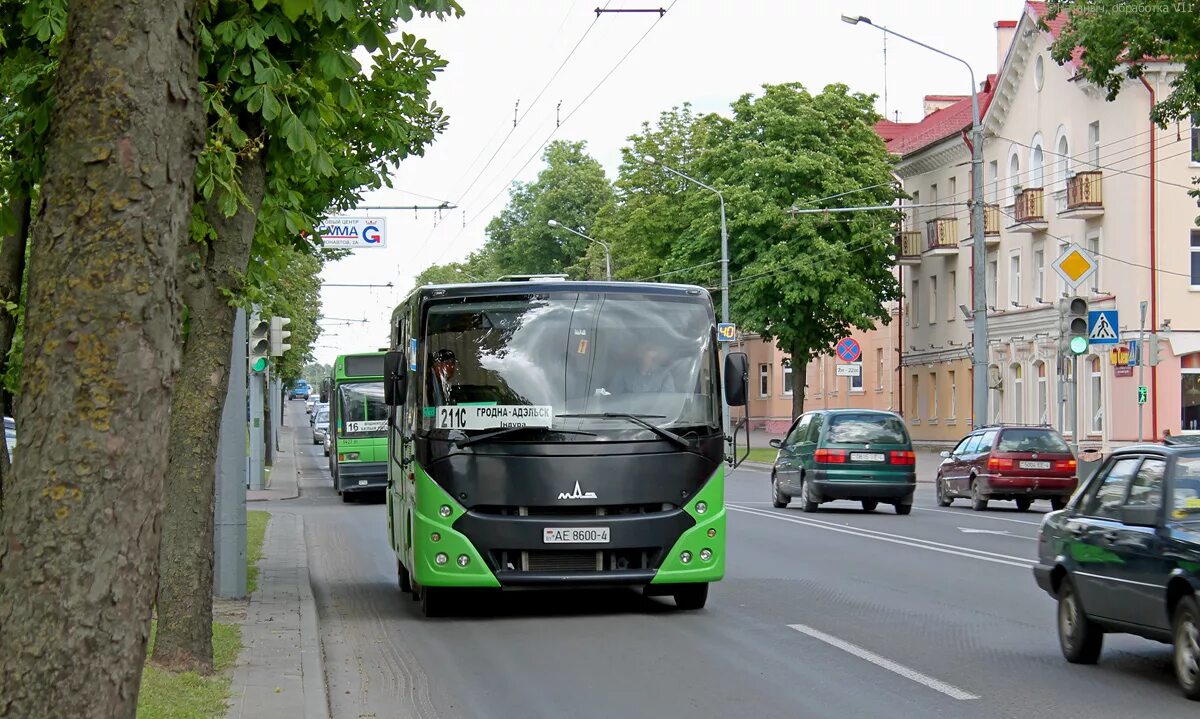 Автобус МАЗ-241.000. Автобус Гродно. Транспорты в Гродно. Маршрутки Гродно.