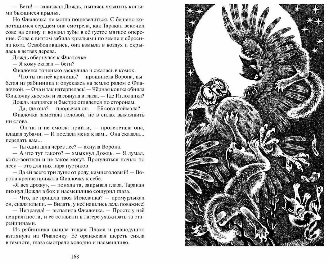 Эрин хантер приключения ольхолапа. Книга котов воителей гроза и тень. Хаггард земля теней. Видение теней. "коты-воители.