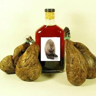 Экстракт бобра