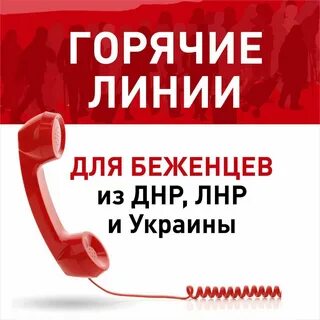 Телефон горячей линии краснодар