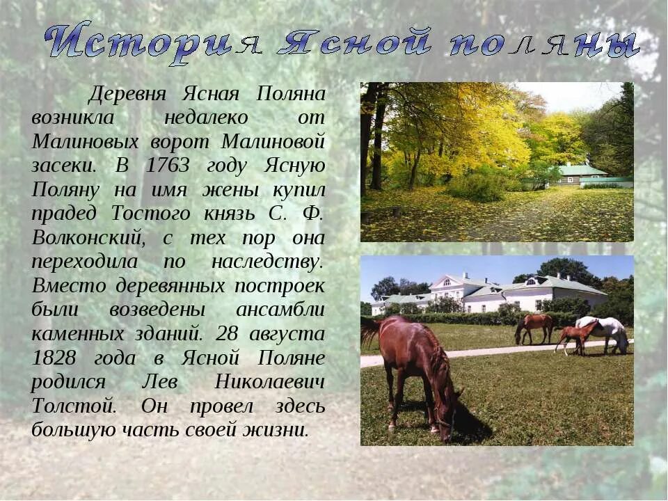 Музей усадьба л н толстого в ясной поляне. Лев николаевич толстой и ясная поляна сообщение. Толстого льва николаевича ясная поляна презентация. Ясная поляна лев николаевич толстой усадьба. Лев николаевич толстой ясная поляна рассказ.