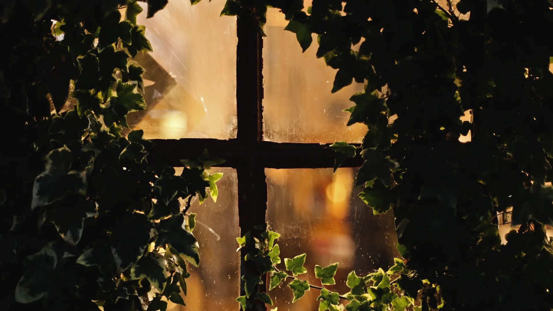 Окно с зелеными листьями. Обои на рабочий стол вид из окна. Окно в природу. Красные оконные рамы. Окно осень.