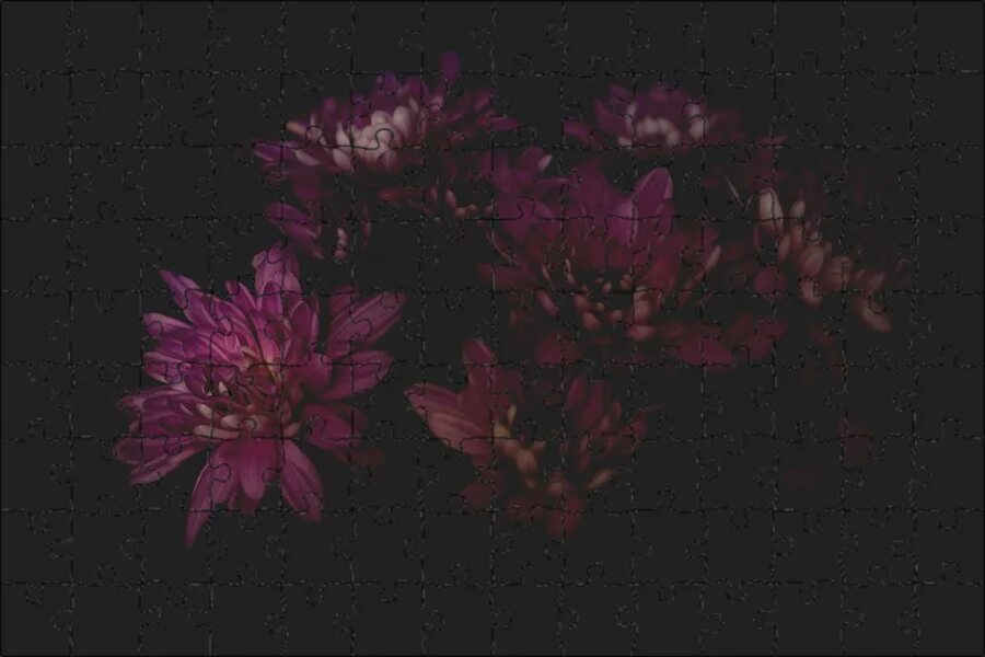 The dark flower. Обои цветы темные. dark flower.