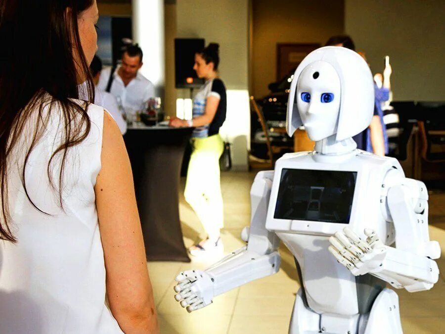 Internet robot