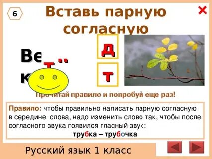 Правописание парной согласной в середине слова