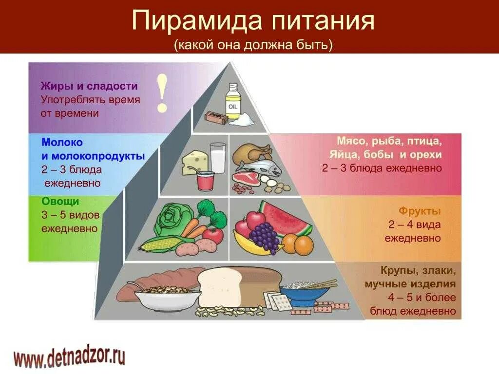 Расположи продукты по содержанию