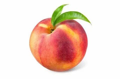 Бикинидегі қыздың порно фотосы