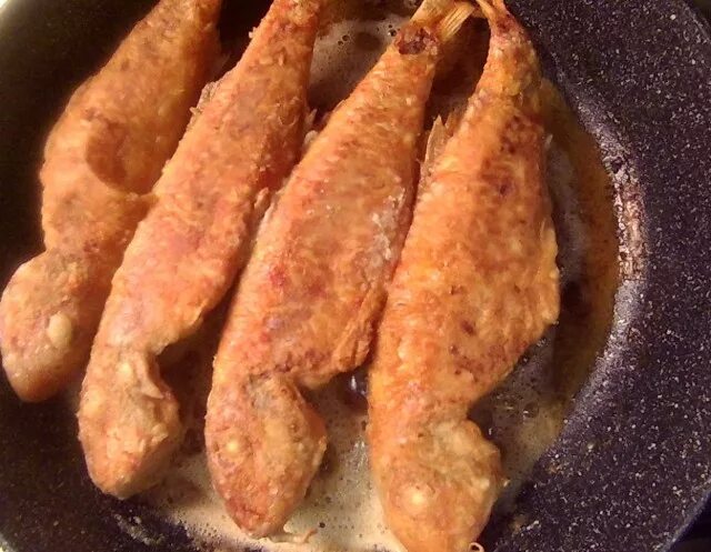 Sultan fish барабулька. рыба барабуля султанка черноморская. барабуля султанка. барабулька черноморская. барабулька консервы.