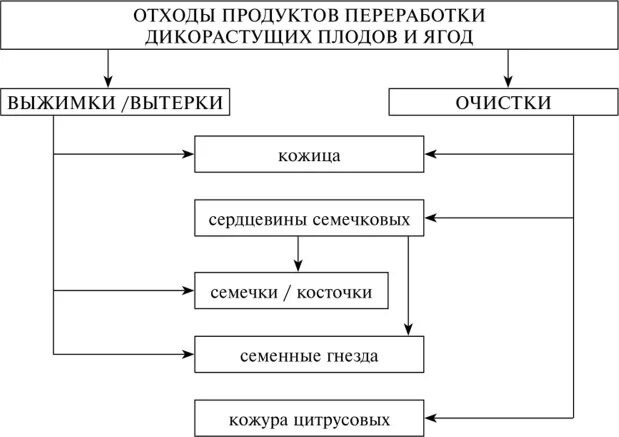 Переработка сырья дикорастущих растений. Технология переработки сырья дикорастущих растений. Способы переработки дикорастущих растений. Способы хранения и переработки дикорастущего сырья. Способы хранения и переработки сырья