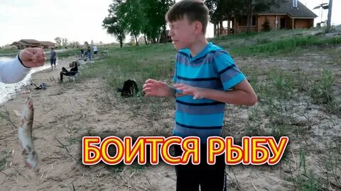 Нашли назара