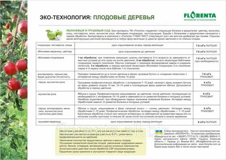Во время цветения можно опрыскивать фруктовые деревья