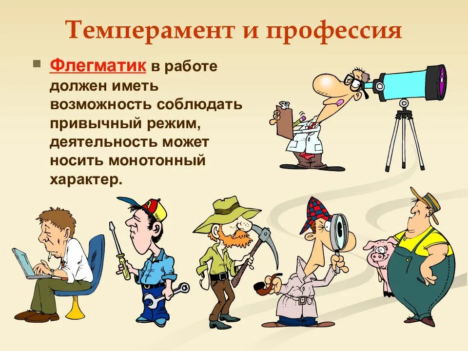 Не имеет любая работа. Темперамент и профессия. Профессии для флегматика. Тип темперамента и профессия. Работа для флегматика.