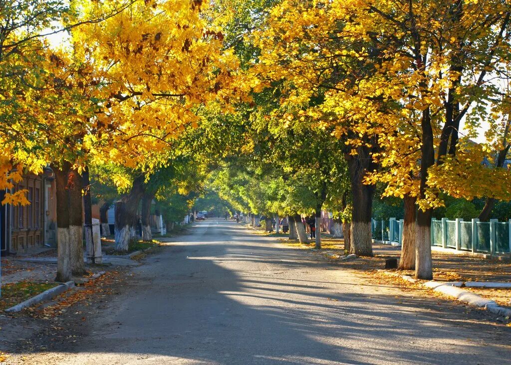 В сентябре в городе были. Осенняя улица. Питер осенью петергоф. Александровский парк санкт-петербург осенью. В сентябре в городе были.
