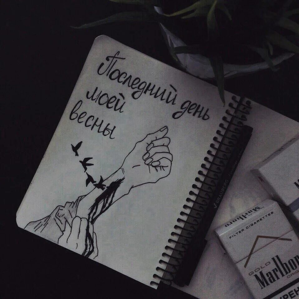 Найти выход книга. Найтивыход рисунки. Найти выход обложки. Vspak обложки треков. Выйти из тупика.