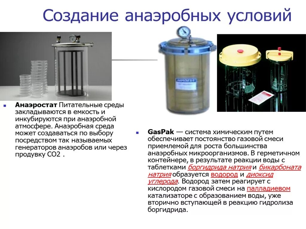 Бактерии в бескислородной среде. Среды для анаэробов микробиология. Анаэростат микробиология. Питательные среды для культивирования облигатных анаэробов. Для культивирования анаэробов применяют питательные среды.