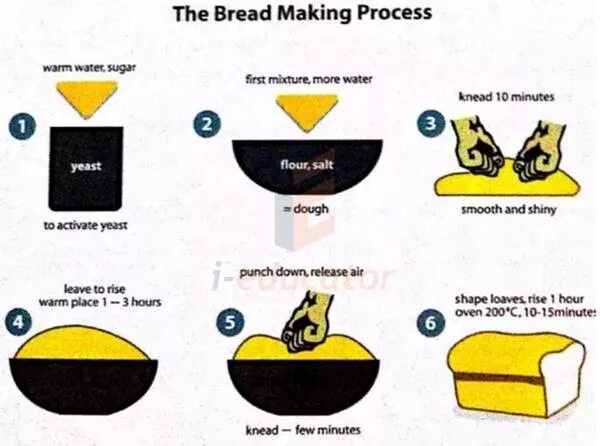 T me making bread европа. Processed bread. the process of making bread. bread перевод. how is the bread или how are.