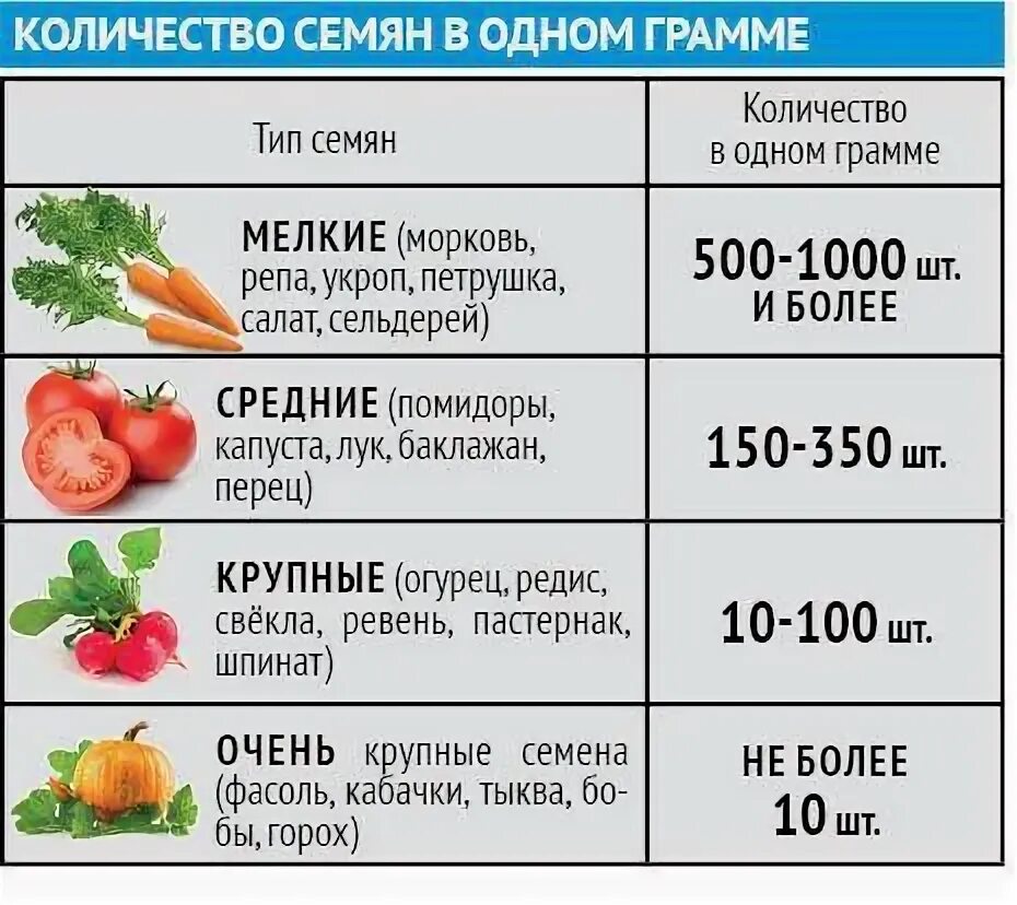 Сколько семян в пачке. Количество семян томатов в 1 грамме таблица. Семена овощей в граммах. Количество семян в грамме. Семена моркови в 1 грамме.