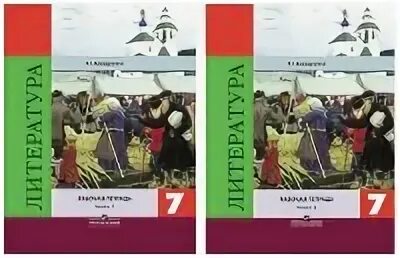 Литература 5 класс рабочая
