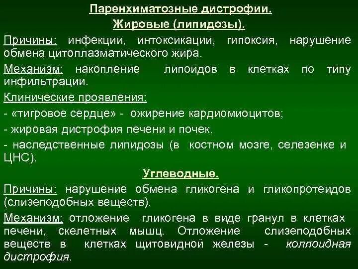 Паренхиматозные липидозы причины. Паренхиматозные жировые дистрофии липидозы. Паренхиматозные жировые дистрофии механизм развития. Нарушение обмена гликогена клинические проявления.