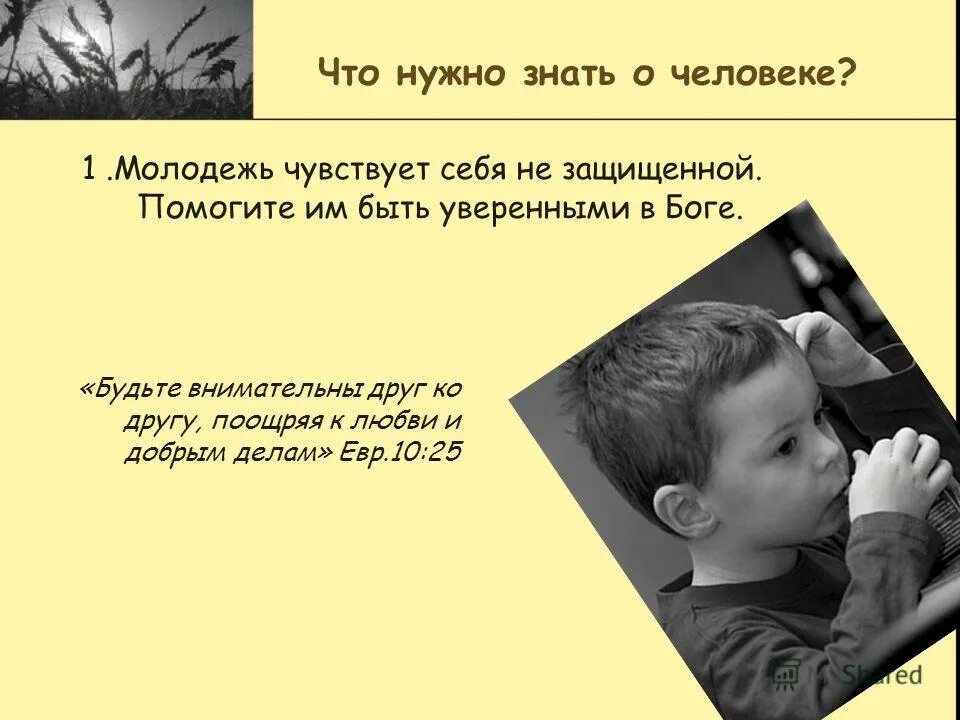 будьте внимательны друг. будь внимателен и осторожен. будьте внимательны друг. будьте внимательны и осторожны картинки. надо быть добрыми и терпимыми друг к другу.