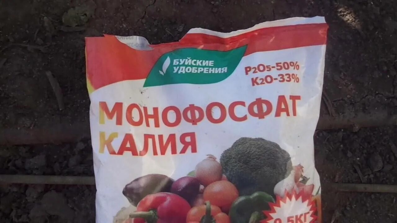 Монофосфат калия удобрение для томатов. Калийный монофосфат для томатов. удобр.монофосфат калия. монофосфат калия для рассады томатов. подкормка рассады помидор монофосфат калия.