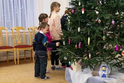Будут ли елки в школах