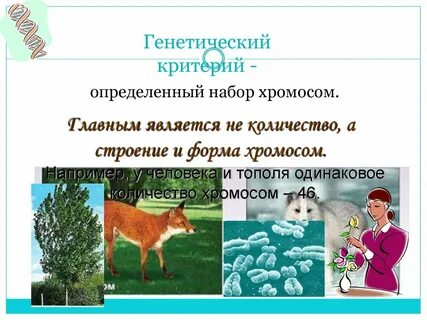 Генетический критерий это
