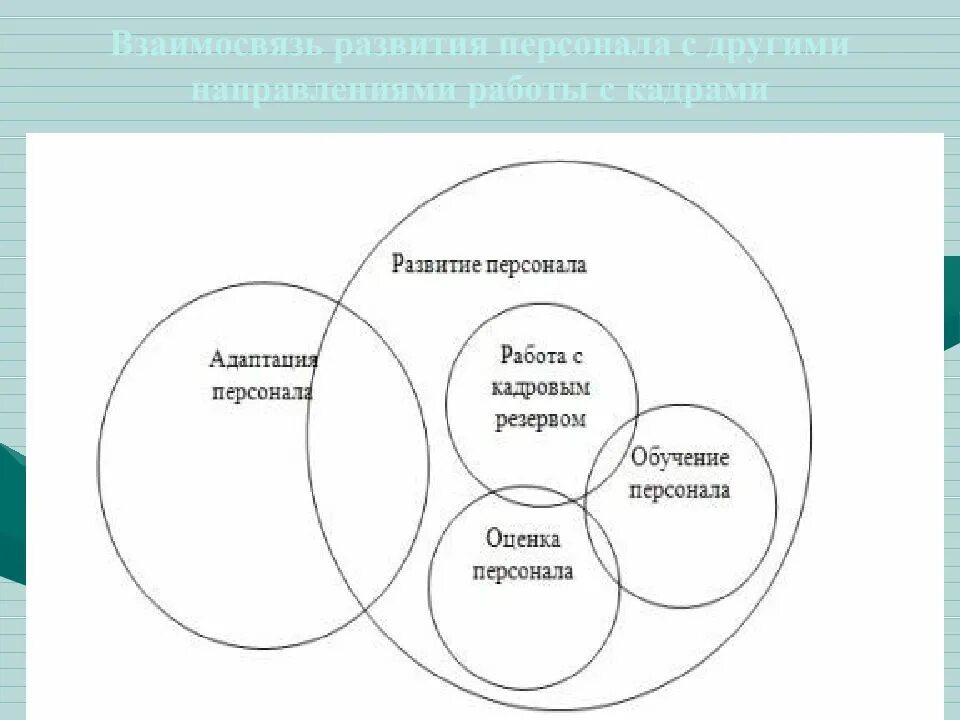 Развитие персонала. Развитие персонала в организации. Современные понятия развития персонала. Схема формирования персонала.