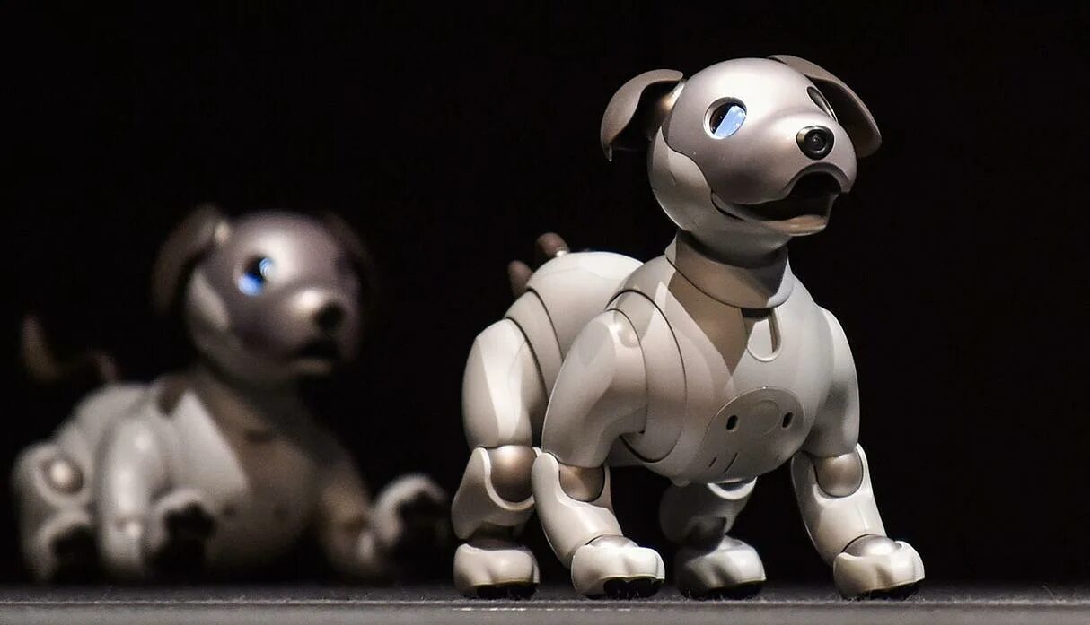 Ai pet. Sony Aibo ers 210. Робот пес. Робот собака с искусственным интеллектом. Искусственный интеллект животные.